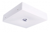 STARLET QUAD SC 250 NM 1H MT